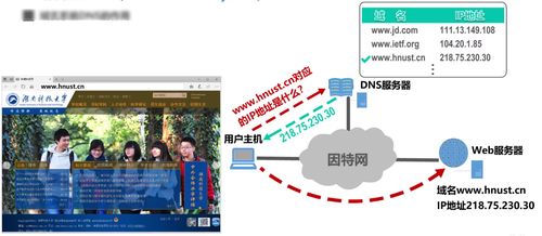 应用层信息系统运行维护服务的关键角色与实践策略