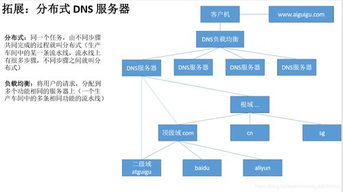 网络服务核心组件之DNS域名系统运维 从基础到实践