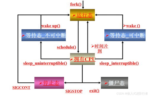 进程的创建与回收在信息系统运行维护服务中的关键作用
